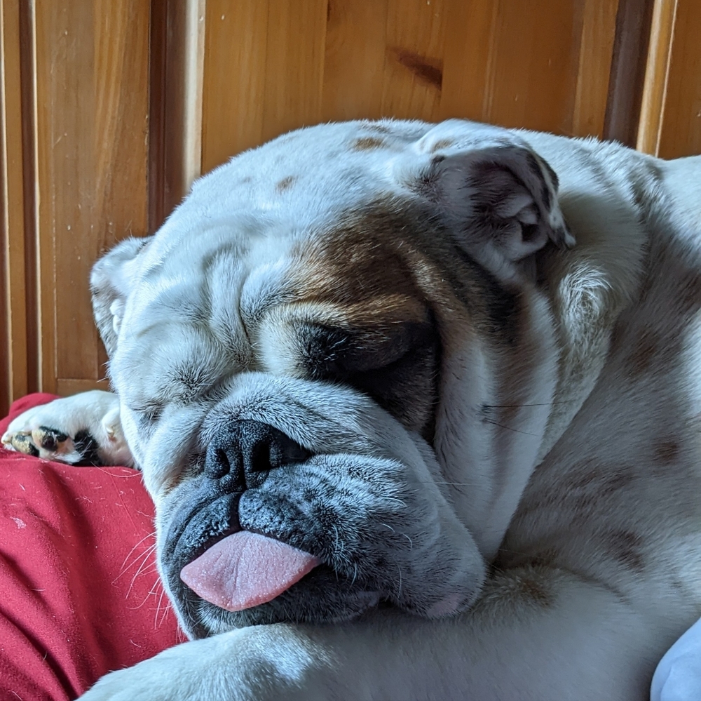 Meet your Posher, James